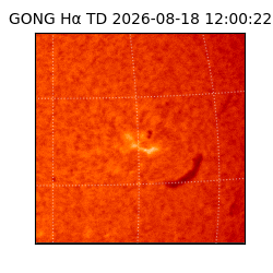gong - 2026-08-18T12:00:22