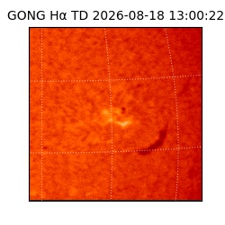 gong - 2026-08-18T13:00:22