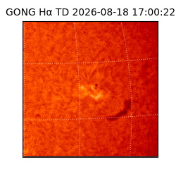 gong - 2026-08-18T17:00:22