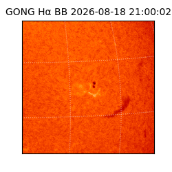 gong - 2026-08-18T21:00:02