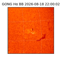 gong - 2026-08-18T22:00:02
