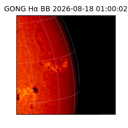 gong - 2026-08-18T01:00:02