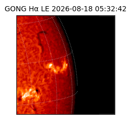gong - 2026-08-18T05:32:42