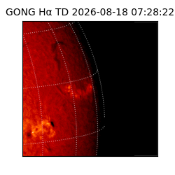 gong - 2026-08-18T07:28:22