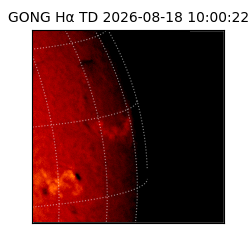 gong - 2026-08-18T10:00:22