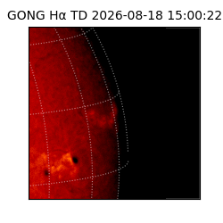 gong - 2026-08-18T15:00:22