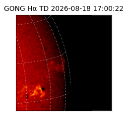 gong - 2026-08-18T17:00:22