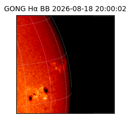 gong - 2026-08-18T20:00:02