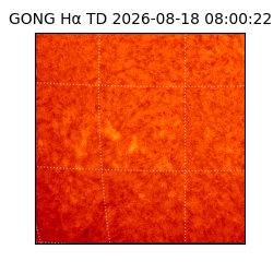 gong - 2026-08-18T08:00:22
