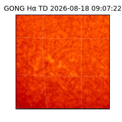 gong - 2026-08-18T09:07:22
