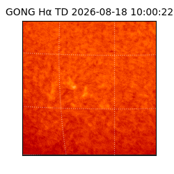 gong - 2026-08-18T10:00:22