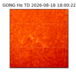gong - 2026-08-18T18:00:22
