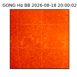 gong - 2026-08-18T20:00:02