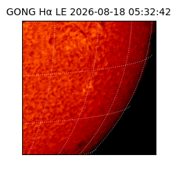 gong - 2026-08-18T05:32:42