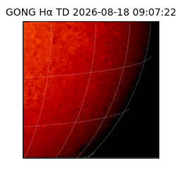 gong - 2026-08-18T09:07:22