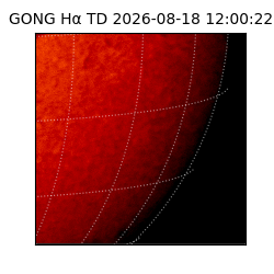 gong - 2026-08-18T12:00:22
