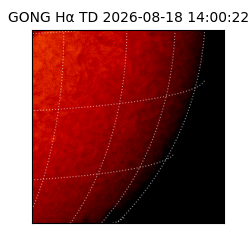 gong - 2026-08-18T14:00:22