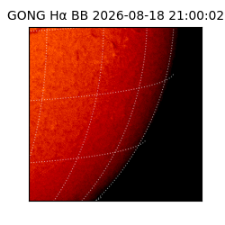 gong - 2026-08-18T21:00:02