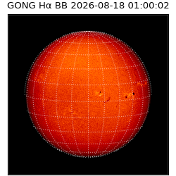 gong - 2026-08-18T01:00:02