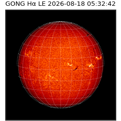 gong - 2026-08-18T05:32:42