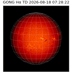 gong - 2026-08-18T07:28:22