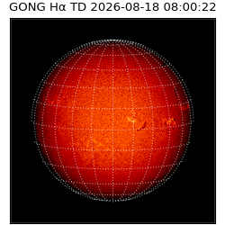 gong - 2026-08-18T08:00:22