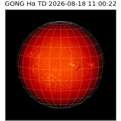 gong - 2026-08-18T11:00:22