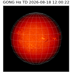 gong - 2026-08-18T12:00:22