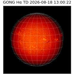 gong - 2026-08-18T13:00:22