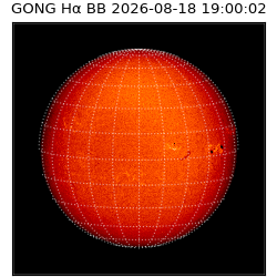 gong - 2026-08-18T19:00:02
