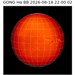 gong - 2026-08-18T22:00:02