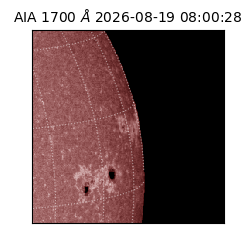 saia - 2026-08-19T08:00:28.717000