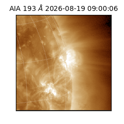 saia - 2026-08-19T09:00:06.226000