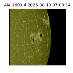 saia - 2026-08-19T07:00:14.129000