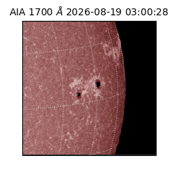 saia - 2026-08-19T03:00:28.717000