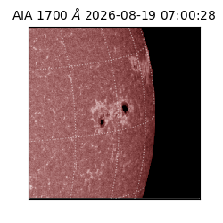 saia - 2026-08-19T07:00:28.717000