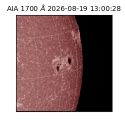 saia - 2026-08-19T13:00:28.735000