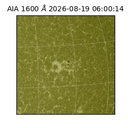 saia - 2026-08-19T06:00:14.130000