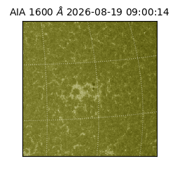 saia - 2026-08-19T09:00:14.132000