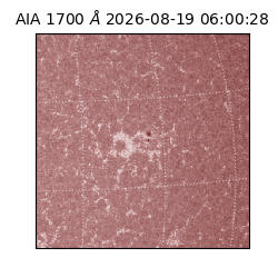 saia - 2026-08-19T06:00:28.716000