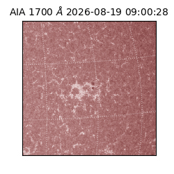 saia - 2026-08-19T09:00:28.716000