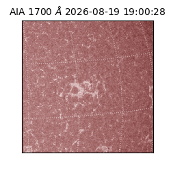 saia - 2026-08-19T19:00:28.716000