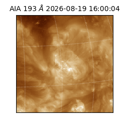 saia - 2026-08-19T16:00:04.842000