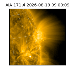 saia - 2026-08-19T09:00:09.348000