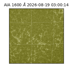saia - 2026-08-19T03:00:14.123000