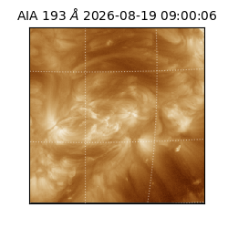 saia - 2026-08-19T09:00:06.226000