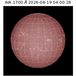 saia - 2026-08-19T04:00:28.716000