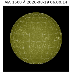 saia - 2026-08-19T06:00:14.130000