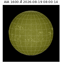 saia - 2026-08-19T08:00:14.132000