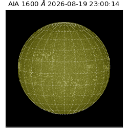 saia - 2026-08-19T23:00:14.129000